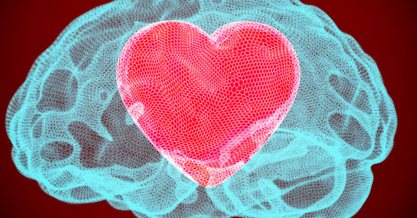 What Part of the Brain Controls Love?