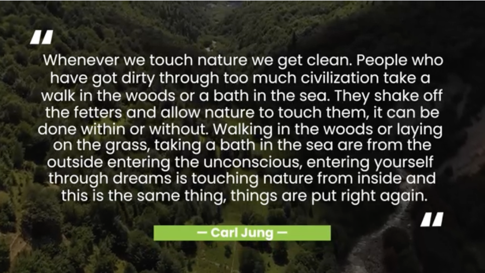 Using Nature To Heal and Spark Creativity